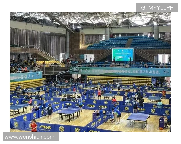 成都乒乓球队在钻石联赛中的状态表现分析与未来展望