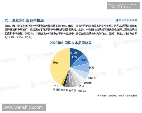 深度分析北京足球队的运营策略与发展模式探讨