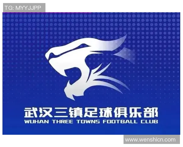 武汉足球队的节奏变化与战术调整对球队表现的影响分析