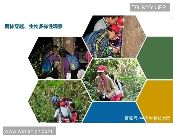 科学网球训练新方法探讨与配合技巧提升指南 科学网球训练新方法探讨与配合技巧提升指南