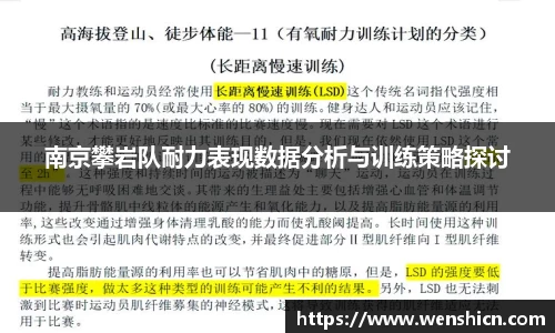 南京攀岩队耐力表现数据分析与训练策略探讨